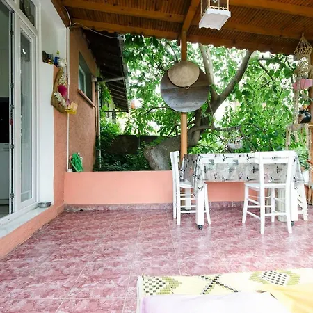 Garden Nature House In The Center Of Istanbul בית נופש
