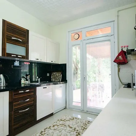 Garden Nature House In The Center Of Istanbul * איסטמבול